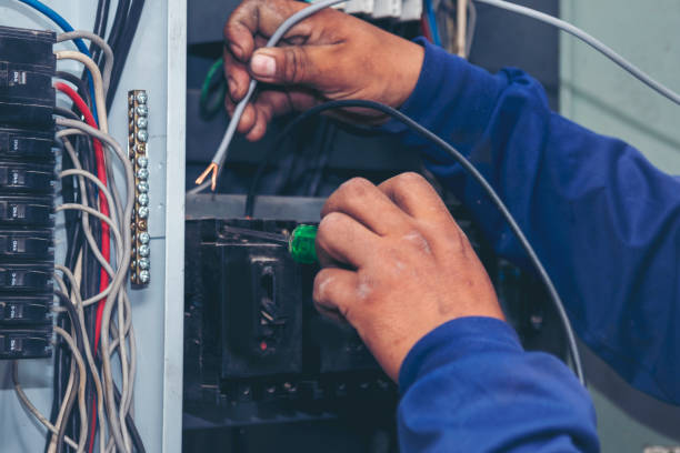 Best Electrical Repair Services  in Fort Meade, FL
